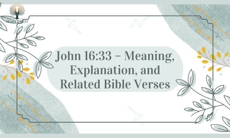 John 16:33 – Meaning, Explanation, and Related Bible Verses