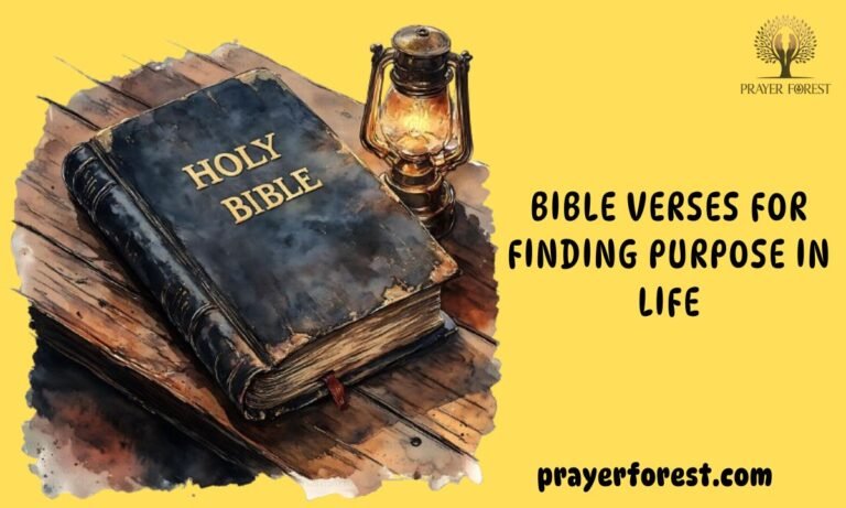 55 Bible Verses For Finding Purpose In Life