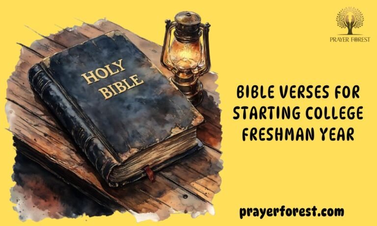 55 Bible Verses For Starting College Freshman Year