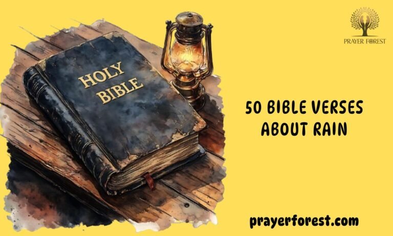 50 Bible Verses About Rain