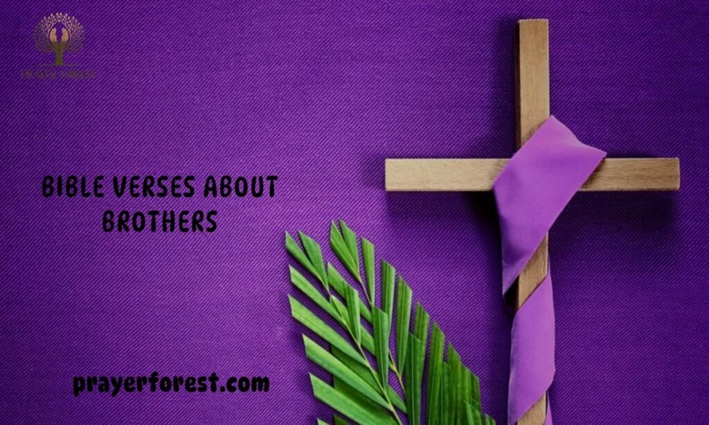  Bible Verses About Brothers