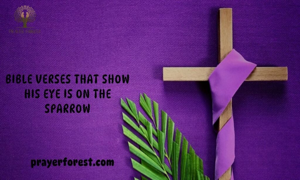 Bible Verses That Show His Eye Is On The Sparrow