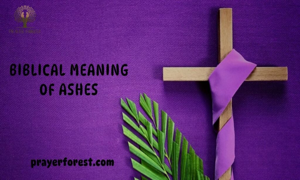 Biblical Meaning of Ashes