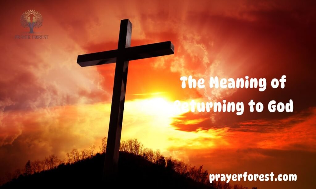 The Meaning of Returning to God