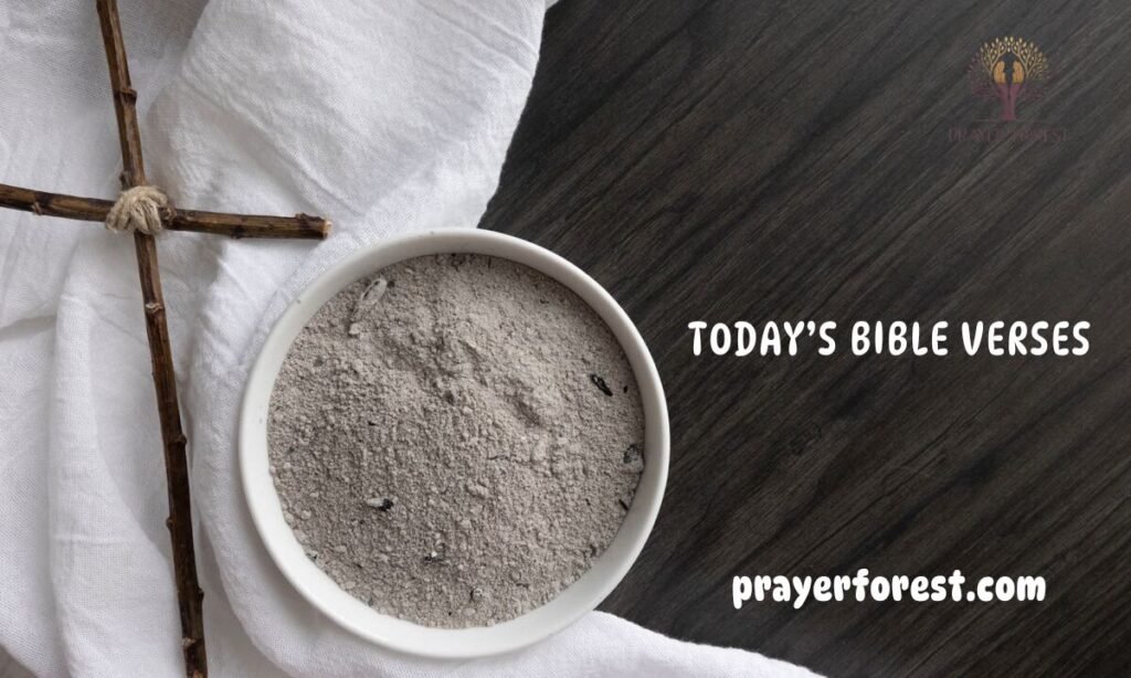 Today’s Bible Verses